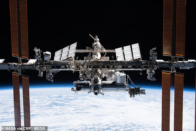 Ein internationales Team unter der Leitung der Universität Antwerpen in Belgien untersuchte die Gehirne russischer Kosmonauten, die durchschnittlich 172 Tage im All waren