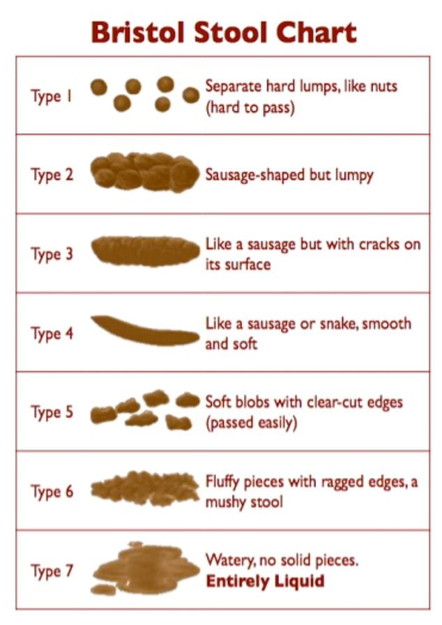 Die drei neuen Grafiken sind eine moderne Version der Bristol Stool Chart (im Bild), die seit den 1990er Jahren von NHS-Medizinern verwendet wird, um die sieben Stuhlarten zu beurteilen
