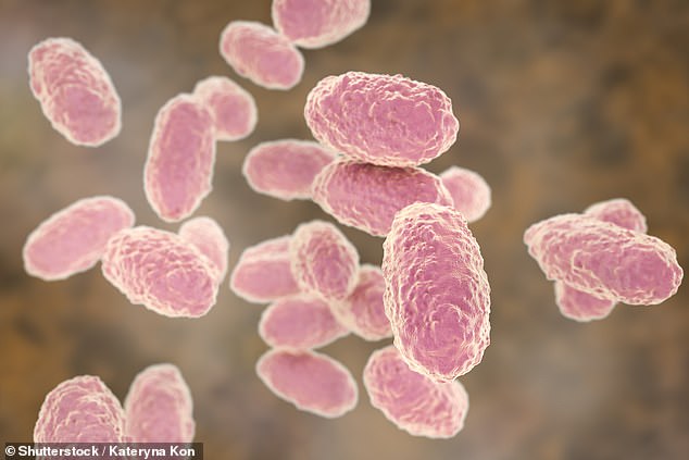 Die sich versteckenden Bakterien bedeuten, dass Menschen die Infektion unwissentlich auf andere Menschen übertragen können, was zu sporadischen Ausbrüchen der Erkrankung führt