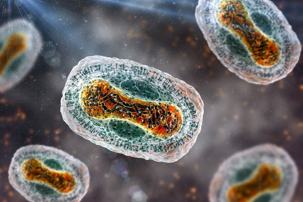 DNA-Metagenomanalysen klinischer Proben von mit dem Monkeypox-Virus infizierten Personen