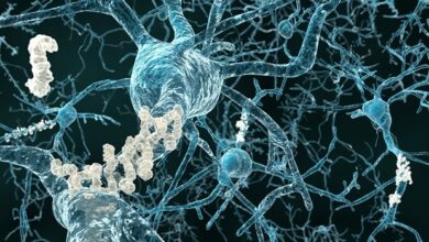 Das von Weill Cornell Medicine geführte Konsortium sichert sich einen Zuschuss in Höhe von 14 Millionen US-Dollar, um neue Technologien für alternde Erwachsene zu untersuchen