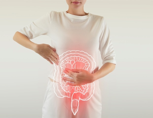 Gut ausgerüstete darmfreundliche Bakterien versprechen eine Verbesserung der IBD-Behandlungen