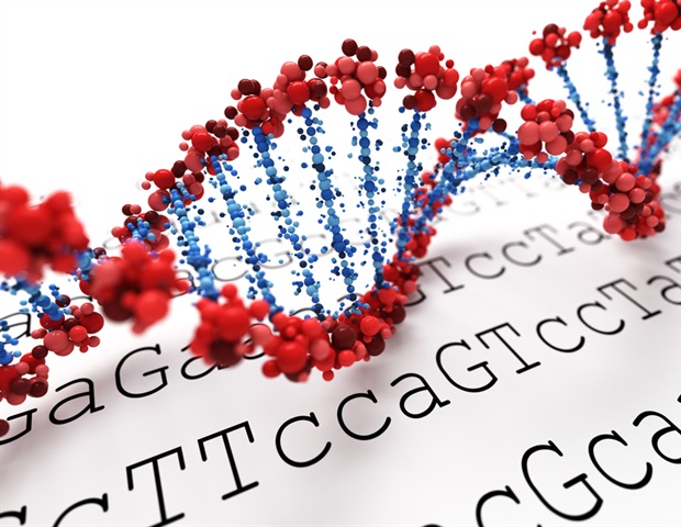 UCLA-Professor gewinnt NAM-Preis für wegweisende Forschung und Führungsrolle in der Autismus-Genetik