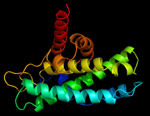 Forscher entwickeln neuartige therapeutische Strategie zur Behandlung der Huntington-Krankheit