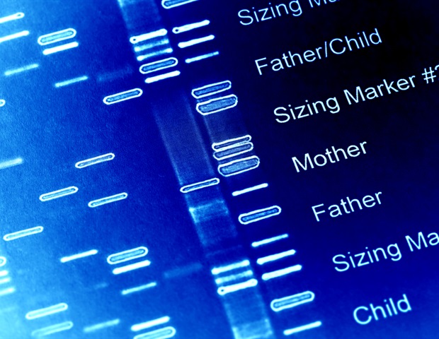Herzinsuffizienz entsteht durch Mutationen in bestimmten Genen, Studienergebnisse