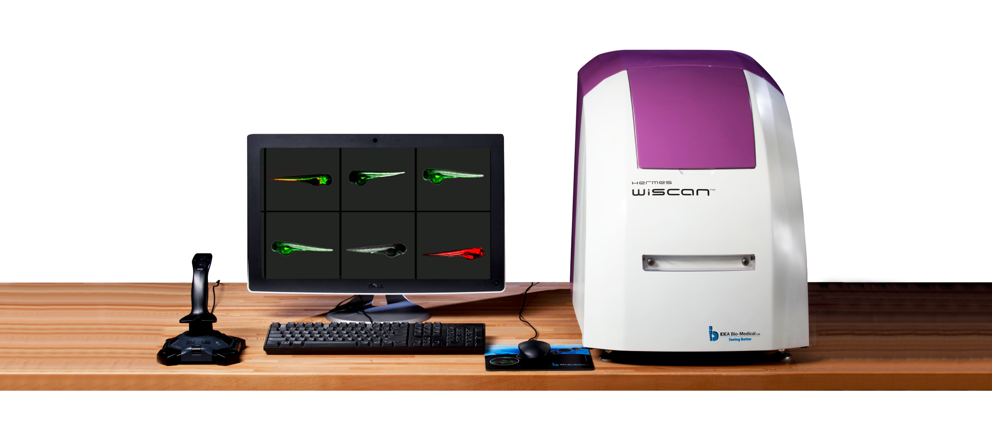 Die Zukunft der Zellforschung entdecken