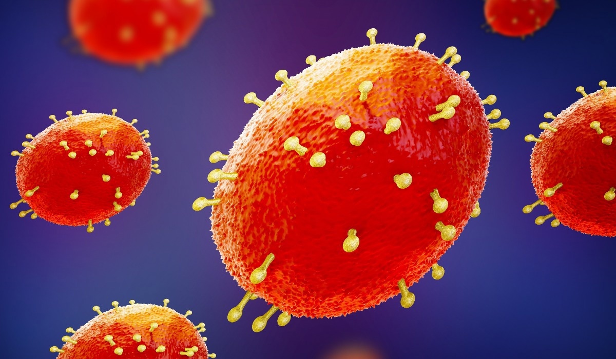 Studie: Einzel- und 2-Dosen-Impfungen mit MVA-BN® induzieren dauerhafte B-Zell-Gedächtnisreaktionen bei gesunden Probanden, die mit replizierenden Pockenimpfstoffen der älteren Generation vergleichbar sind. Bildnachweis: MIA Studio/Shutterstock Studie: Einzel- und 2-Dosen-Impfungen mit MVA-BN® induzieren dauerhafte B-Zell-Gedächtnisreaktionen bei gesunden Probanden, die mit replizierenden Pockenimpfstoffen der älteren Generation vergleichbar sind. Bildnachweis: MIA Studio/Shutterstock