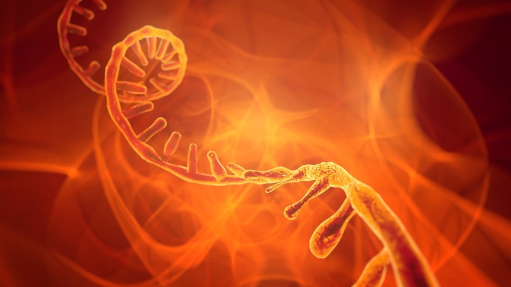 Studie: Variantenspezifische Analyse enthüllt eine neuartige RNA-RNA-Interaktion mit großer Reichweite in SARS-CoV-2 Orf1a. Bildnachweis: CROCOTHERY/Shutterstock Studie: Variantenspezifische Analyse enthüllt eine neuartige RNA-RNA-Interaktion mit großer Reichweite in SARS-CoV-2 Orf1a. Bildnachweis: CROCOTHERY/Shutterstock