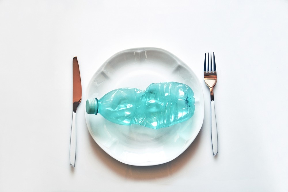 Studie: Mikroplastik: Was passiert im menschlichen Verdauungstrakt? Erste Erkenntnisse bei Erwachsenen anhand von In-vitro-Darmmodellen. Bildnachweis: Lucio Pepe / Shutterstock.com