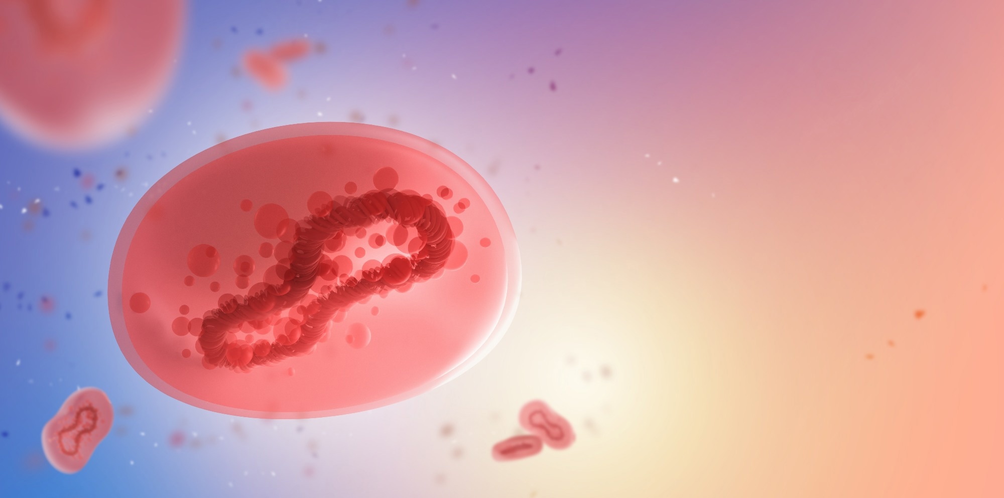 Studie: Genomische Akkordeons könnten der Schlüssel zur Affenpockengruppe IIb sein Studie: Genomische Akkordeons könnten der Schlüssel zur Affenpockengruppe IIb sein