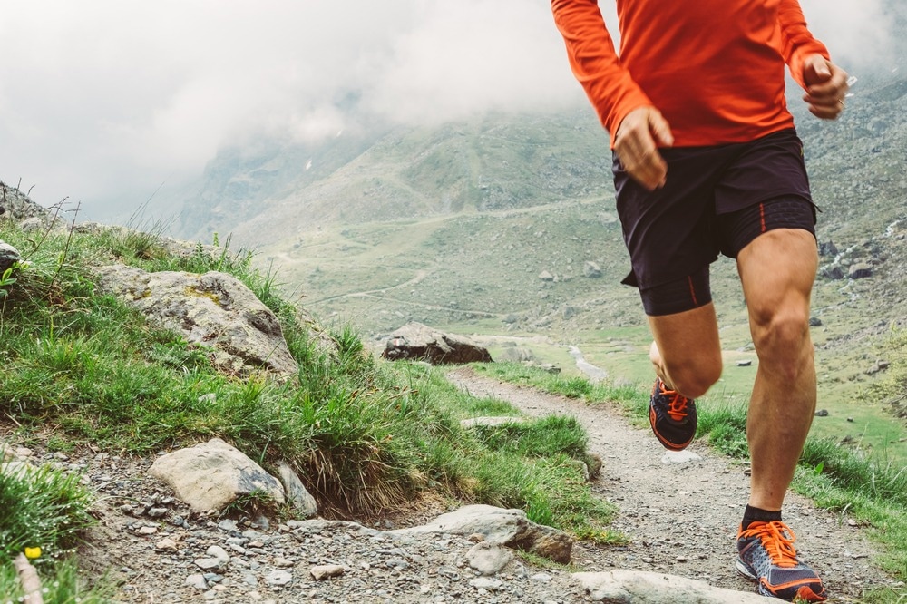 Studie: Auswirkungen von zeitlich begrenztem Essen auf die aerobe Kapazität, die Körperzusammensetzung und Marker der metabolischen Gesundheit bei gesunden Männern. Bildnachweis: Giorgio1978 / Shutterstock.com