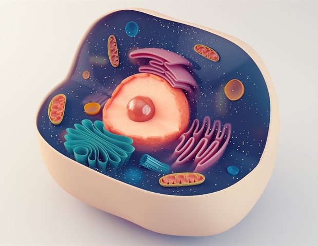 Inventia Life Science und BioLamina arbeiten zusammen, um Zellmatrizen für komplexe 3D-Zellmodelle zu entwickeln