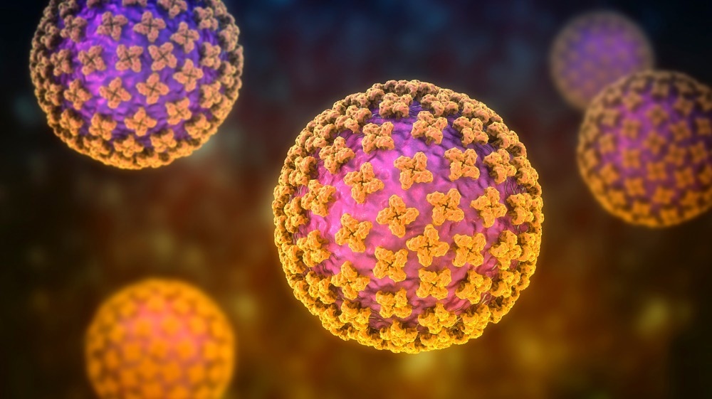 Kiwira-Virus: ein neues, von Fledermäusen übertragenes Hantavirus, das in Afrika entdeckt wurde