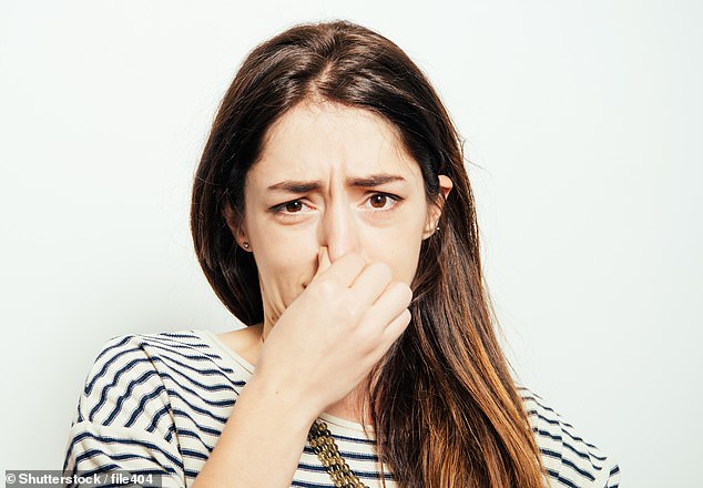 Was Ihr aktuelles Problem angeht, stimme ich Ihrem Hausarzt zu: Das hochgradig anstößige Gas, das Sie in Ihrem längeren Brief beschreiben, ist auf eine Störung des Mikrobioms zurückzuführen, der Vielzahl winziger Organismen, die in unserem Darm leben