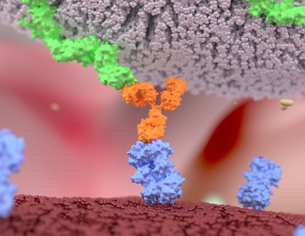 Monon Bioventures erhält SBIR-Zuschuss zur Entwicklung eines in Purdue entwickelten Glioblastom-Therapeutikums