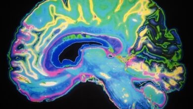 Neu entwickelter Nanokörper kann durch zähe Gehirnzellen dringen und die Parkinson-Krankheit behandeln