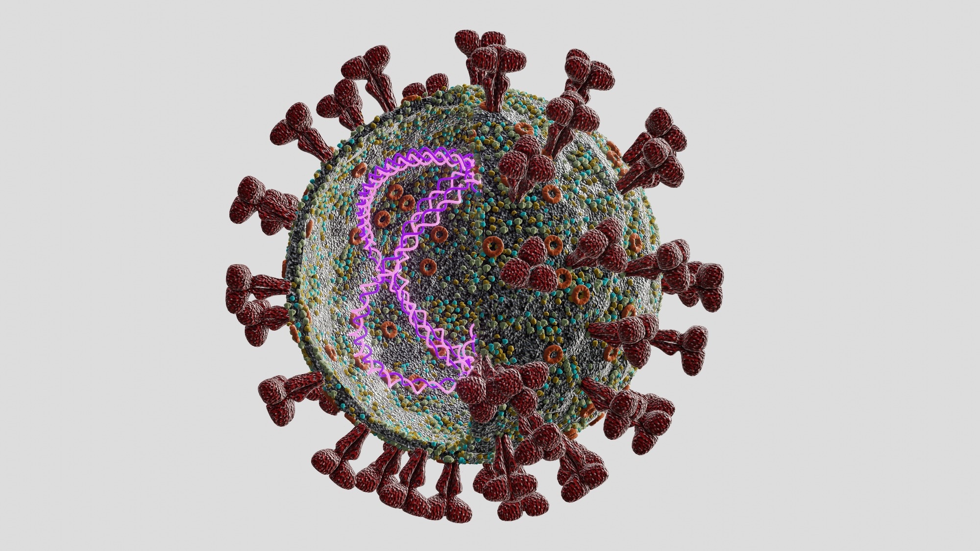 Neuartige Methode nutzt Nanoporenpinzetten, um die Hemmung der SARS-CoV-2-Helikase bei Einzelnukleotidauflösung zu erleichtern