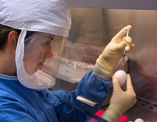 Studie: Pflegekräfte bleiben trotz Herausforderungen leidenschaftlich bei der Patientenversorgung