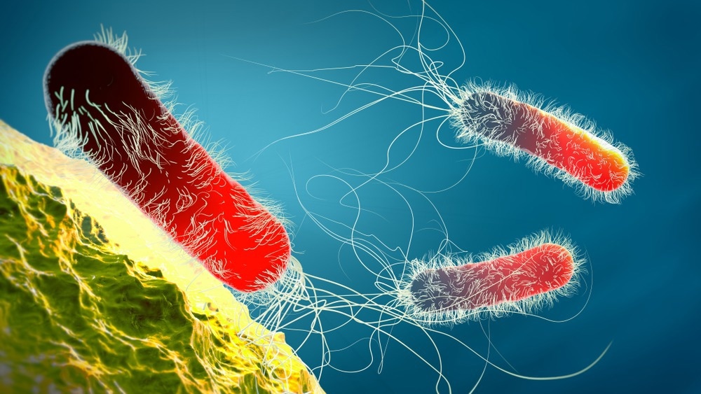 Neu entwickelte Peptide könnten die Superbakterienkrise verhindern