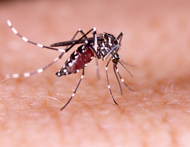 Eine Modellstudie deutet auf die Möglichkeit eines Ausbruchs des japanischen Enzephalitis-Virus in Australien hin