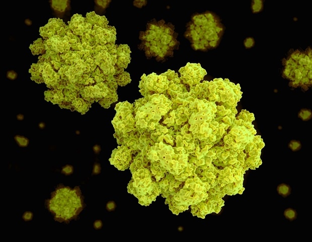 Studie könnte ein Rätsel rund um Morbus Crohn gelöst haben