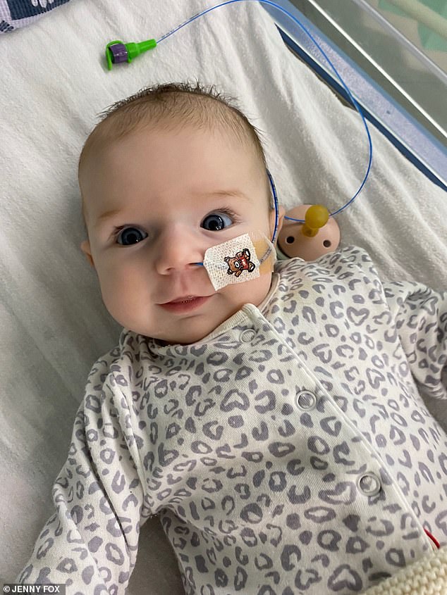 Wie Kuhgewebe und ein Metallrahmen das Baby Florence vor einem potenziell tödlichen Zustand bewahrten, nachdem Chirurgen ihr „walnussgroßes Herz“ operiert hatten
