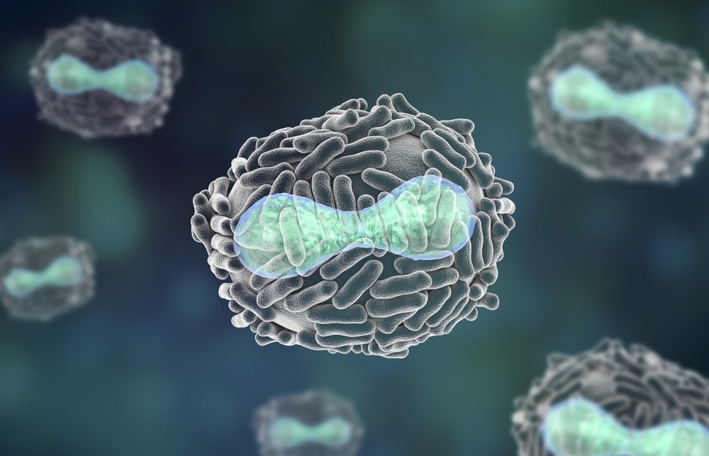 Wie moduliert das ISG15/ISGylierungssystem die Infektion mit dem Vaccinia-Virus?