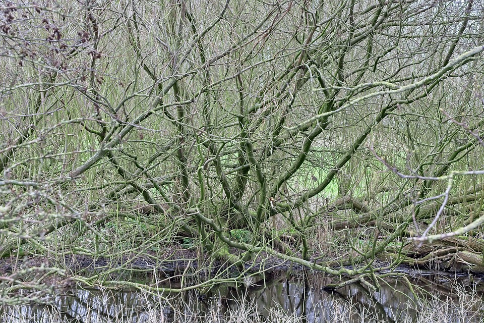 Bruxismus: Ursachen und Therapie