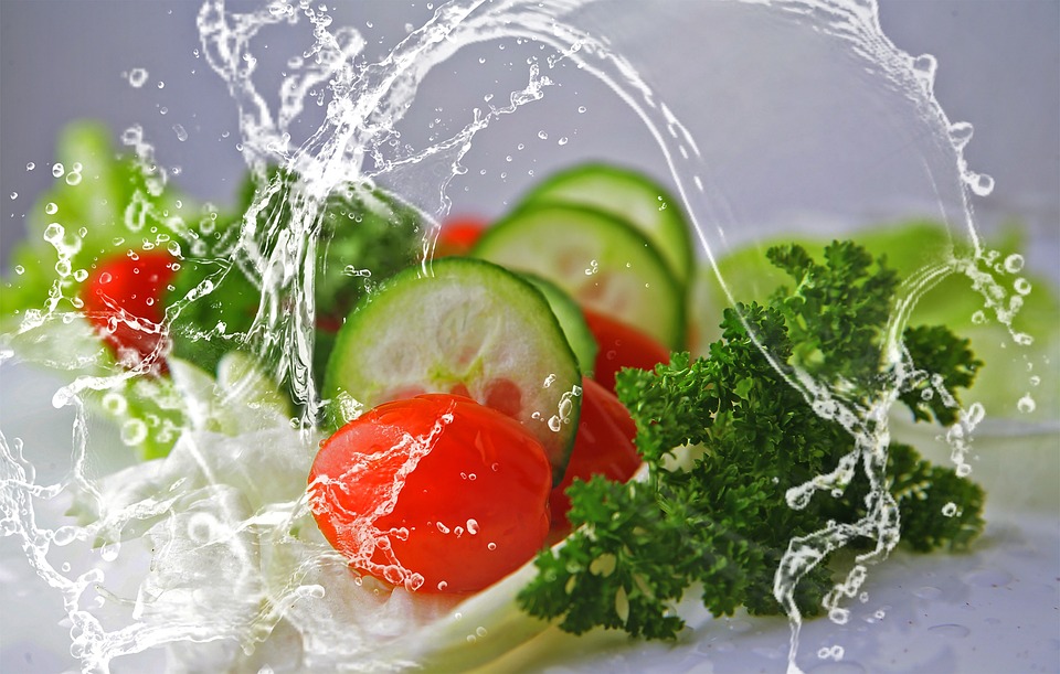 Ernährung für Sportler: Protein Kohlenhydrate und Fette