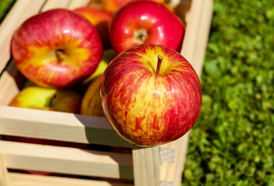 Äpfel und Beeren: Genuss für ein gesundes Gehirn und weniger Demenz!