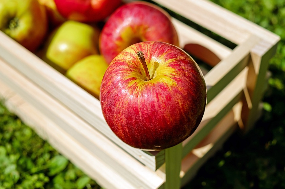 Äpfel und Beeren: Die Geheimwaffe gegen Demenz!