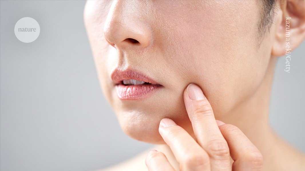 Die überraschende Kraft der Haut: Ein eigenes Immunsystem entdecken