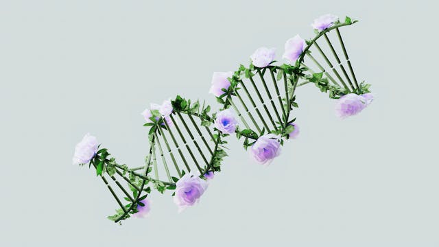 Das Biohacking-Dilemma: Können wir wirklich ohne Nebenwirkungen die Kontrolle über unsere Biologie übernehmen?