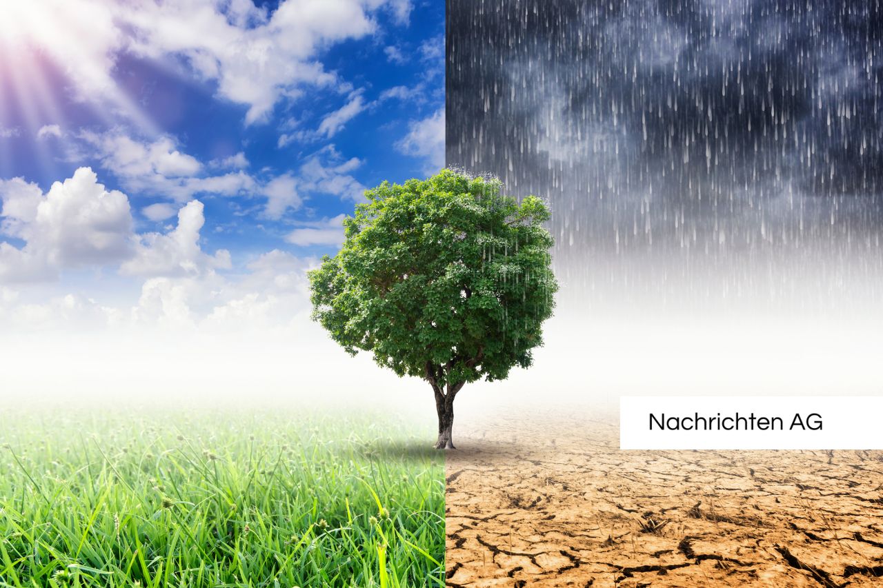 Klimawandel gefährdet unsere Gesundheit: Gibt es einen Ausweg?