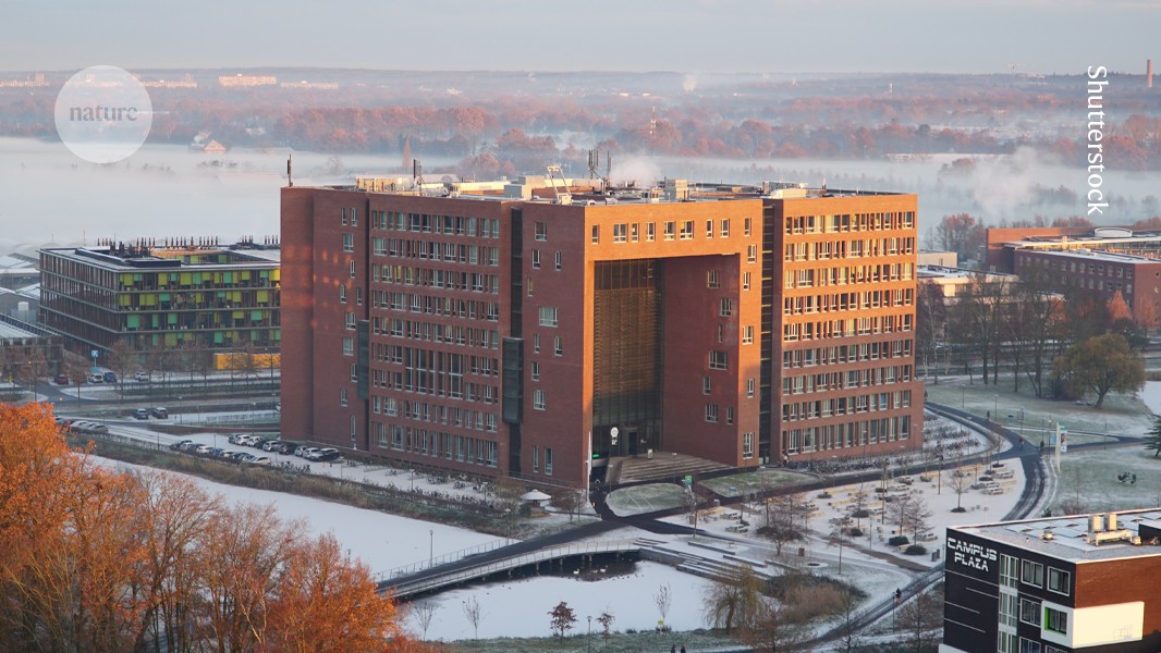 Trump-Team versendet Umfrage an ausländische Forscher – Befürchtungen über ausländische Einmischung