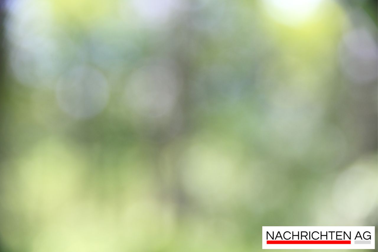 Fortschrittliche KI bietet genaue Anleitung für Prostatakrebspatienten